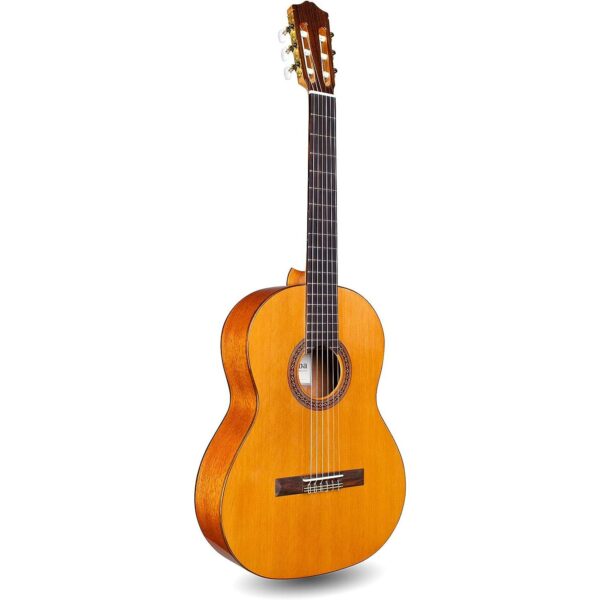 Cordoba Dolce Guitare classique Taille 7 8