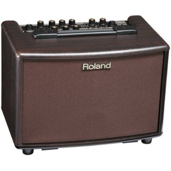 Roland AC 33 RW Combo Rosewood Ampli guitare electrique side3