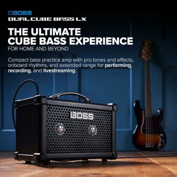 Roland Dual Cube Bass LX Ampli basse side2