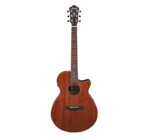 Ibanez Aeg220 Natural Low Gloss Guitare Electro Acoustique