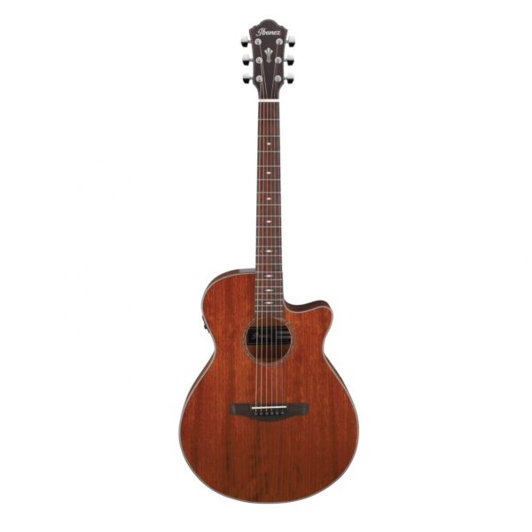 Ibanez Aeg220 Natural Low Gloss Guitare Electro Acoustique