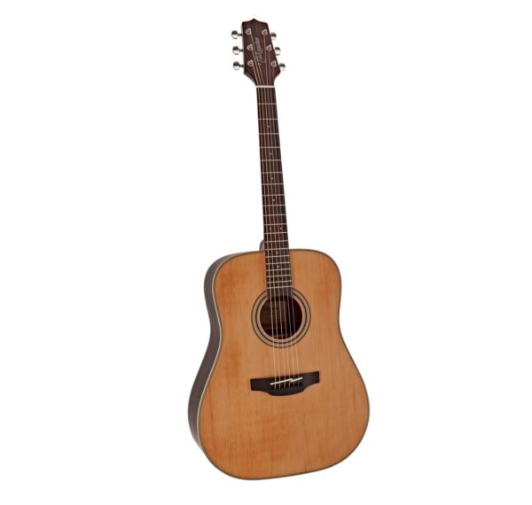 Takamine Gd20 Ns Dreadnought Natural Guitare Acoustique