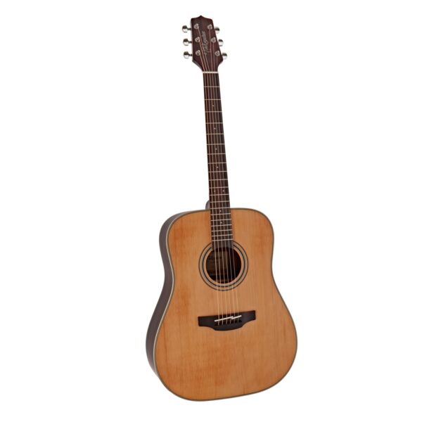 Takamine Gd20 Ns Dreadnought Natural Guitare Acoustique