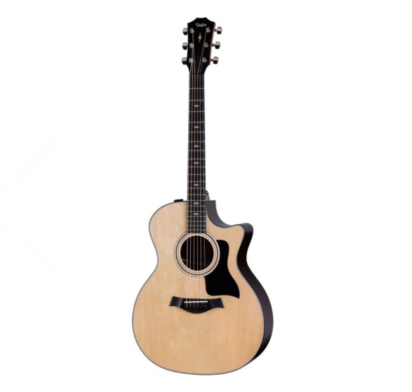 Taylor 314Ce Special Edition Rosewood Grand Auditorium Guitare Electro Acoustique