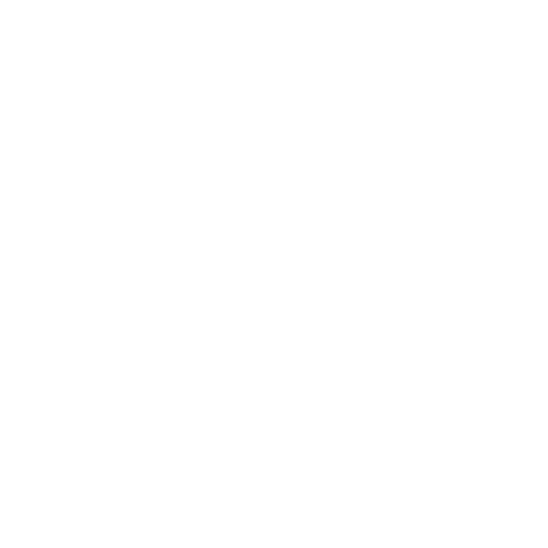 dunlop guitars logo
