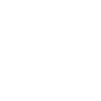 ernie ball logo