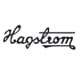 hagstrom icon