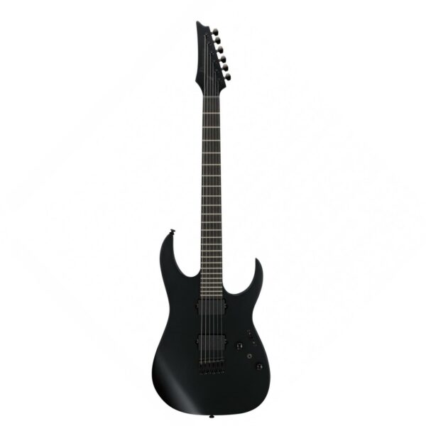 ibanez rgrtb621 iron label black flat guitare electrique