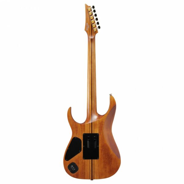 ibanez rgt1220pb premium antique brown stain guitare electrique side2