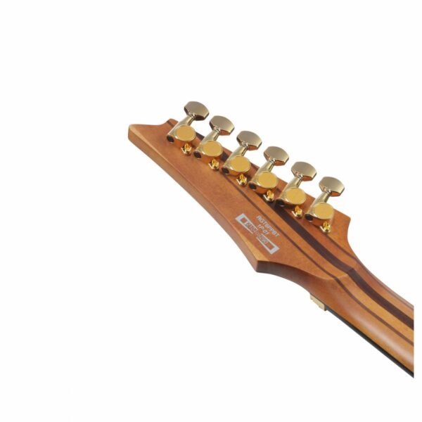 ibanez rgt1220pb premium antique brown stain guitare electrique side4
