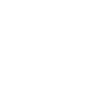 musicman ernie ball logo